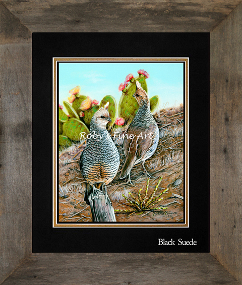 Pastel Scaled Quail Painting - Quail Art by Roby Baer